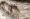 Injured at Work? This Dumper Truck Case Shows Why Safety Rules Matter