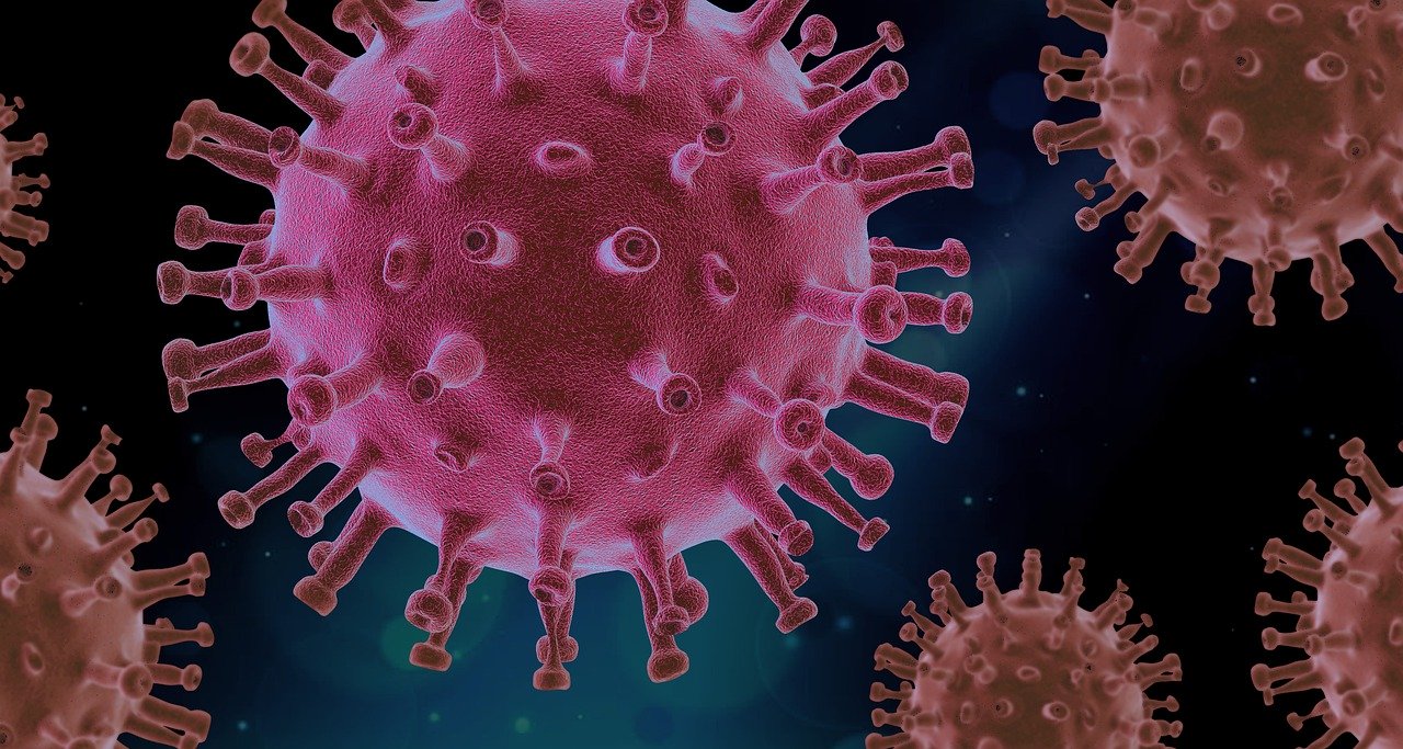 
									The Ugly Side Effects of the Coronavirus
								